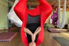 IMG-20231115-WA0020-1