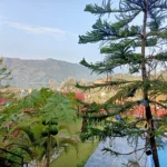 Pokhara Yoga Retreat Accommodation